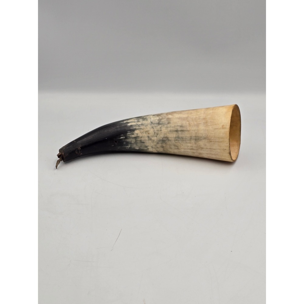Unbranded Powder Horn Unisex 10in Black Cream Primitive Frontier Rustic Horn